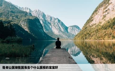 我老公属猪我属兔生个什么属相的宝宝好