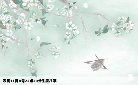 农历11月8号22点20分生辰八字