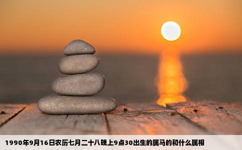 1990年9月16日农历七月二十八晚上9点30出生的属马的和什么属相