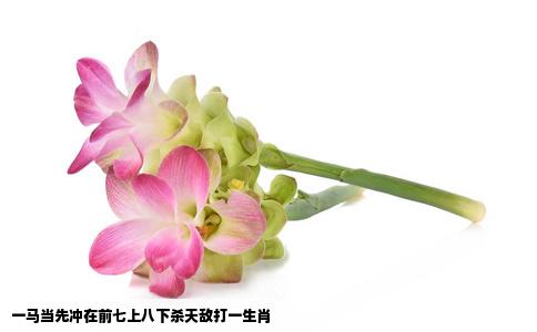 一马当先冲在前七上八下杀天敌打一生肖