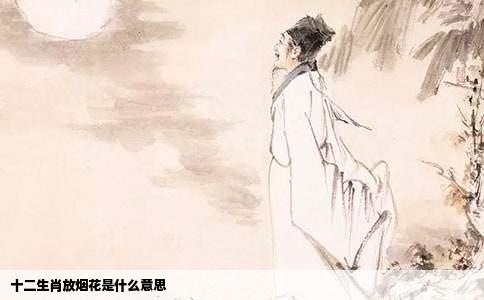 十二生肖放烟花是什么意思