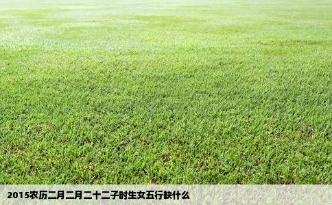 2015农历二月二月二十二子时生女五行缺什么