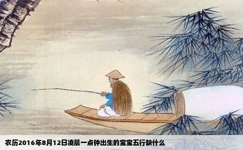 农历2016年8月12日凌晨一点钟出生的宝宝五行缺什么