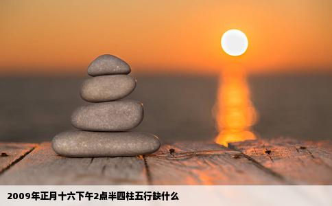 2009年正月十六下午2点半四柱五行缺什么