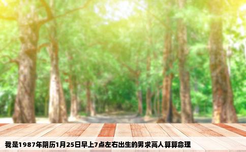 我是1987年阴历1月25日早上7点左右出生的男求高人算算命理