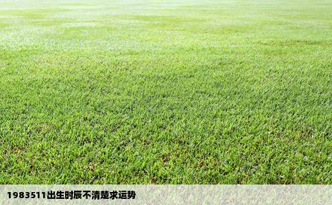 1983511出生时辰不清楚求运势