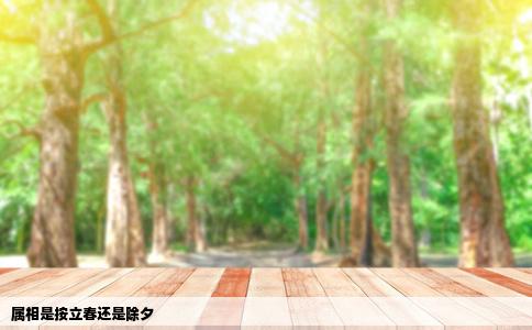 属相是按立春还是除夕