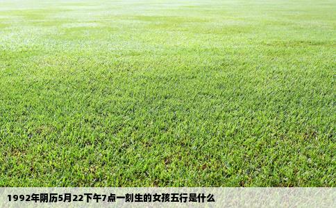 1992年阴历5月22下午7点一刻生的女孩五行是什么