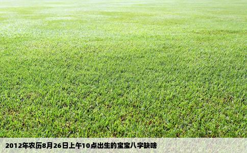 2012年农历8月26日上午10点出生的宝宝八字缺啥