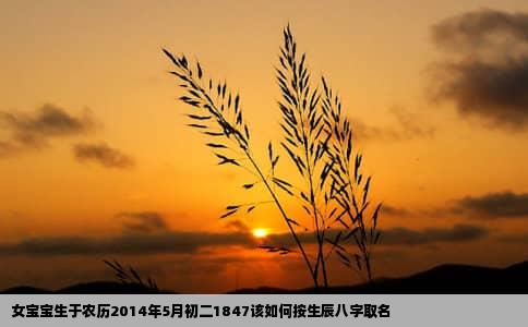 女宝宝生于农历2014年5月初二1847该如何按生辰八字取名
