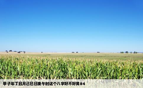 甲子年丁丑月己巳日庚午时这个八字好不好男84