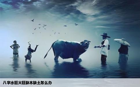 八字水旺火旺缺木缺土怎么办