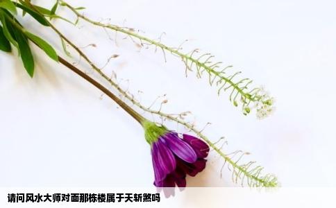 请问风水大师对面那栋楼属于天斩煞吗