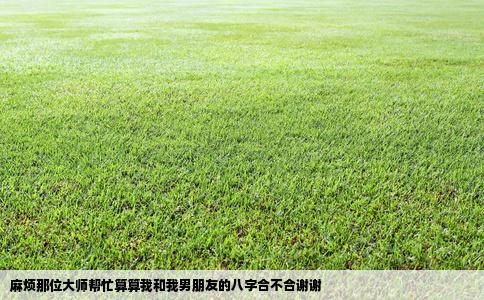 麻烦那位大师帮忙算算我和我男朋友的八字合不合谢谢