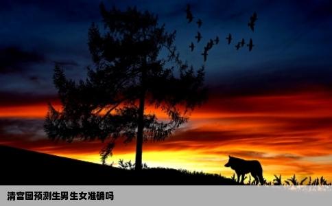 清宫图预测生男生女准确吗