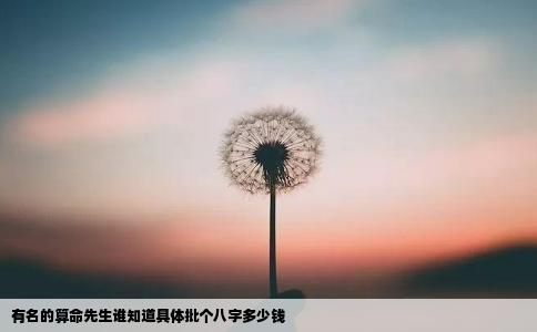 有名的算命先生谁知道具体批个八字多少钱