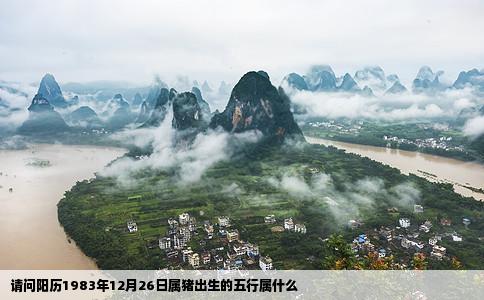 请问阳历1983年12月26日属猪出生的五行属什么