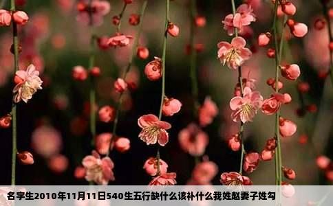 名字生2010年11月11日540生五行缺什么该补什么我姓赵妻子姓勾