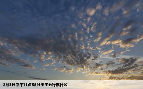 2月3日中午11点58分出生五行属什么