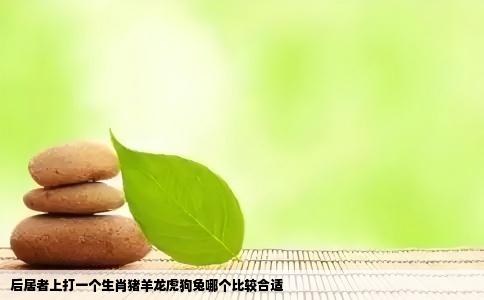 后居者上打一个生肖猪羊龙虎狗兔哪个比较合适