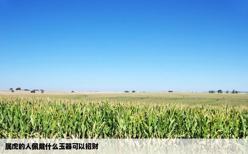 属虎的人佩戴什么玉器可以招财