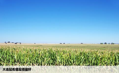 大连起名哪起得最好