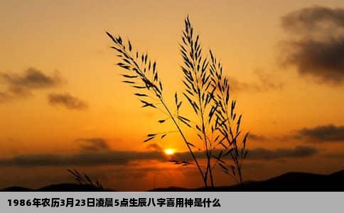 1986年农历3月23日凌晨5点生辰八字喜用神是什么