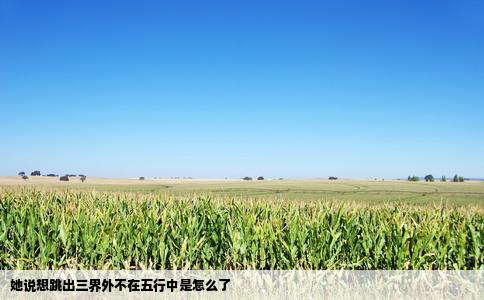 她说想跳出三界外不在五行中是怎么了
