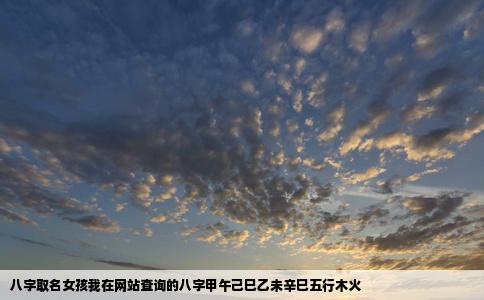 八字取名女孩我在网站查询的八字甲午己巳乙未辛巳五行木火