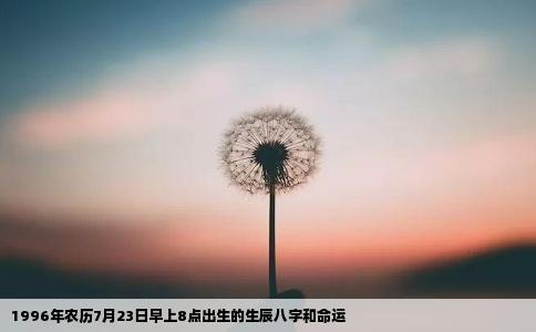 1996年农历7月23日早上8点出生的生辰八字和命运