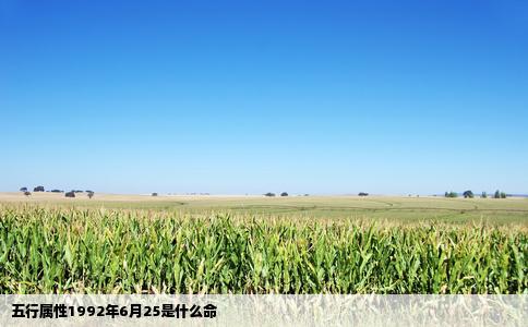 五行属性1992年6月25是什么命