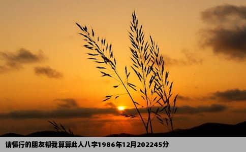 请懂行的朋友帮我算算此人八字1986年12月202245分