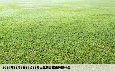 2014年11月9日17点11分出生的男孩五行属什么