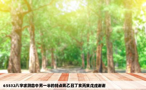 65532八字求测命中另一半的特点男乙丑丁亥丙寅戊戌谢谢