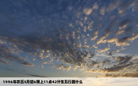 1996年农历5月初6晚上11点42分生五行属什么
