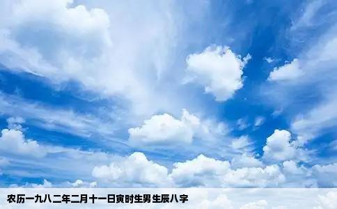农历一九八二年二月十一日寅时生男生辰八字