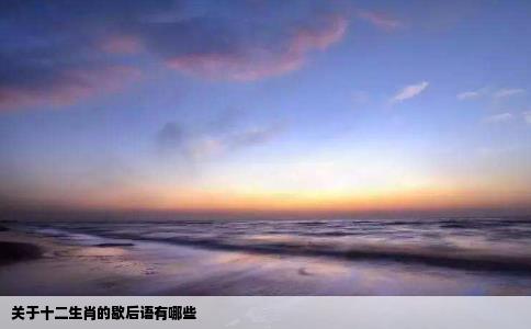 关于十二生肖的歇后语有哪些