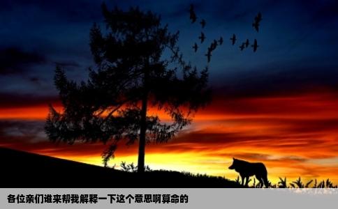 各位亲们谁来帮我解释一下这个意思啊算命的