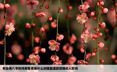 有会看八字的吗帮我看看什么时候能遇到结婚的人好吗