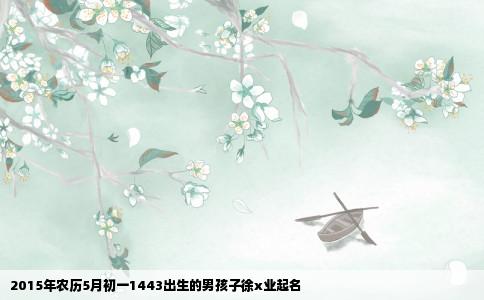 2015年农历5月初一1443出生的男孩子徐x业起名