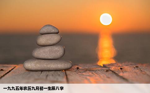 一九九五年农历九月初一生辰八字