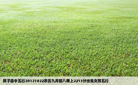 孩子命中五行20121022农历九月初八晚上2213分出生女孩五行