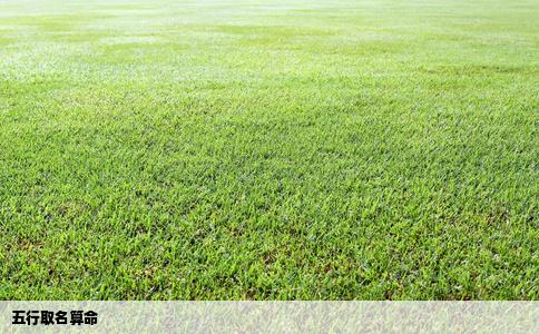 五行取名算命
