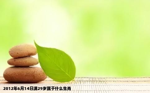 2012年6月14日满29岁属于什么生肖