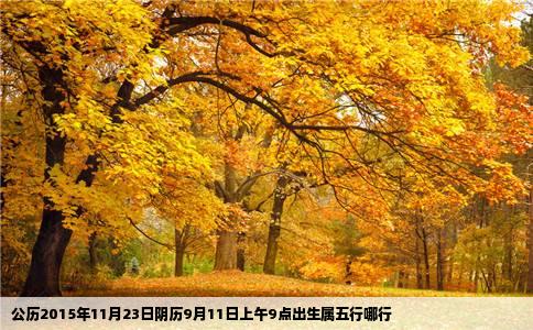 公历2015年11月23日阴历9月11日上午9点出生属五行哪行