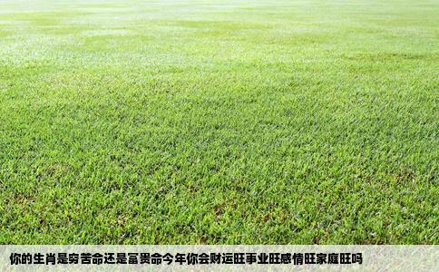 你的生肖是穷苦命还是富贵命今年你会财运旺事业旺感情旺家庭旺吗