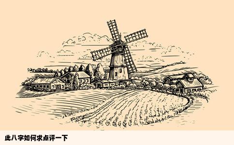 此八字如何求点评一下