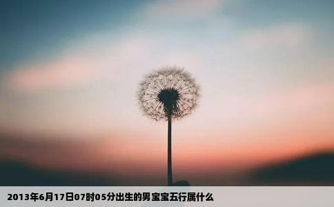 2013年6月17日07时05分出生的男宝宝五行属什么