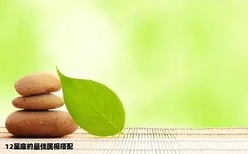 12星座的最佳属相搭配