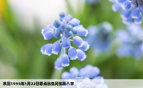 农历1995年1月22日零点出生问生辰八字